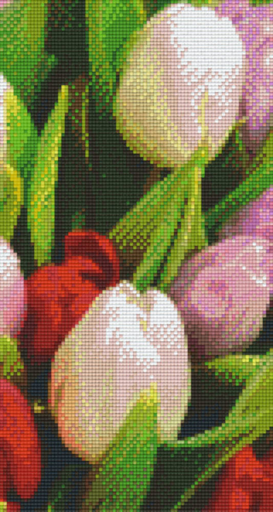 Tulips 2 Six [6] Baseplate PixleHobby Mini-mosaic Art Kits
